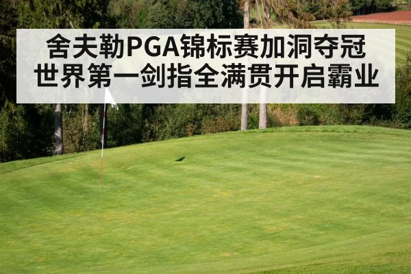 舍夫勒PGA锦标赛加洞夺冠 世界第一剑指全满贯开启霸业